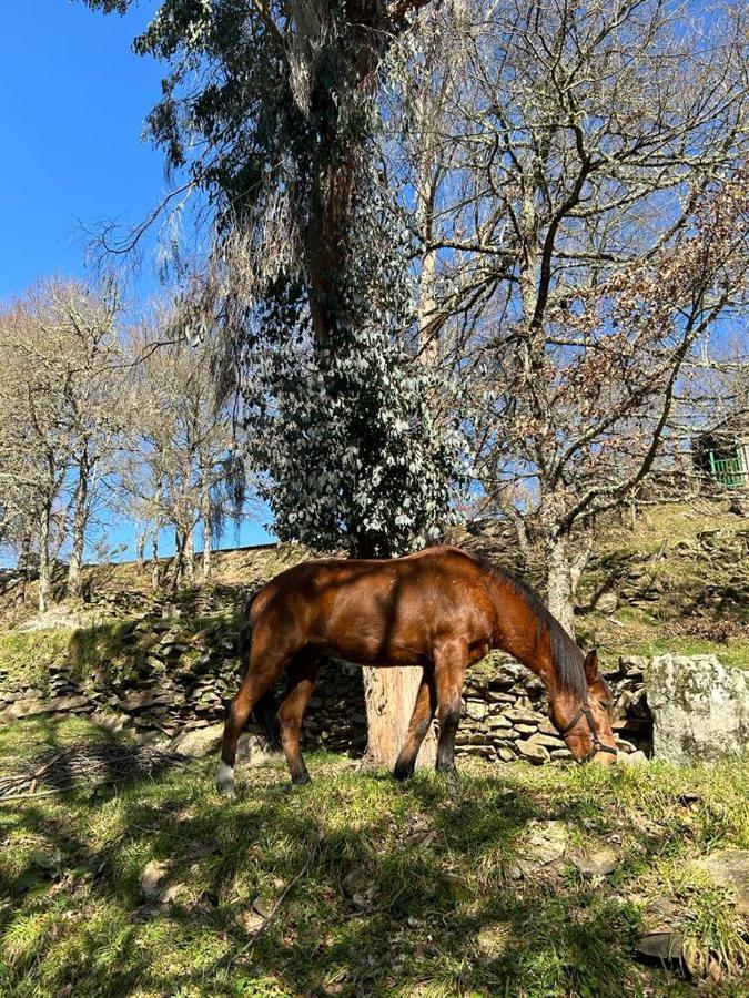 Aldea Couso Rural Sarreaus Exterior foto